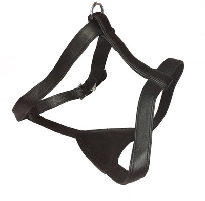 

Petshop7 Dog Standard Harness(, Black