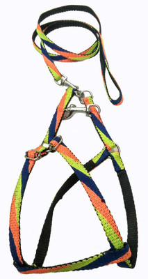 Sollar's Dog Harness & Leash(, Multicolor