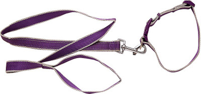 Ecocart Dog & Cat Collar & Leash(, peppy Purple