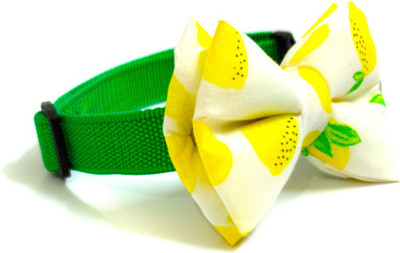 

That Dog in Tuxedo Fresh Lime Bowtie- M-L Dog Everyday Collar(, Green