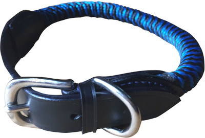 

NappetsIndia Secure Dog Everyday Collar(, Black, Blue