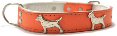 

That Dog in Tuxedo The Luxe Dog Everyday Collar(, Orange