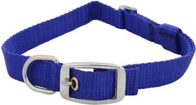 

Imago Dog Everyday Collar(, Blue