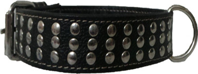 

Berries Dog Everyday Collar(, Orange Blacky