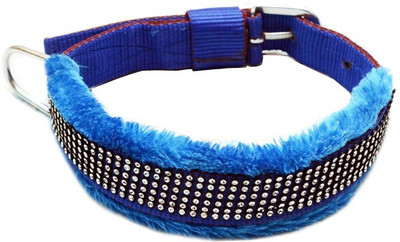 

Pet Club51 Pet Club51 Dog Everyday Collar(, Blue