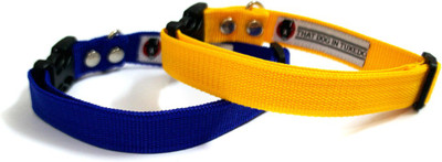 

That Dog in Tuxedo Yellow and Blue -M-L Dog Everyday Collar(, Yellow