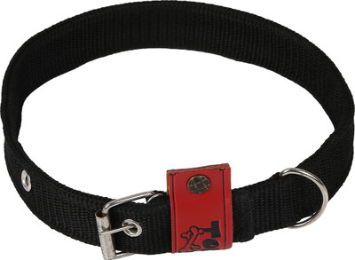 

TommyChew Regular Dog Everyday Collar(, Black