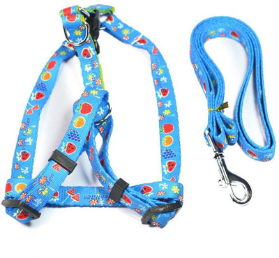 

Sollar's Puppy Dog Harness & Leash(, Light Blue