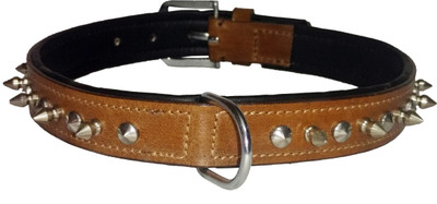 

Petshop7 Leather 1 inch  soft Padding Dog Everyday Collar(, Brown