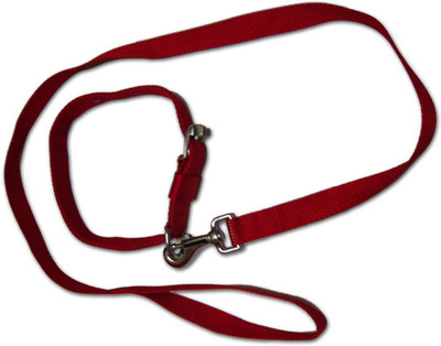 

Smarty Pet Control Collar Dog Everyday Collar(, Red