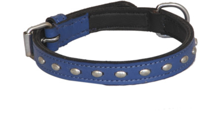 

Pethub Standard Collar -Blue Dog Everyday Collar(, Blue