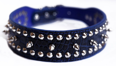 

Sollar's Stylish Dog Spike Leather 1.50 Inch Dog Everyday Collar(, Blue