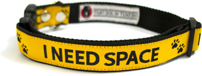 

That Dog in Tuxedo "I Need Space"-M-L Dog Everyday Collar(, YELLOW