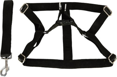 

Imago Dog Harness & Leash(, Black