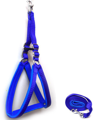 

Paw Zone Dog Harness & Leash(, Blue