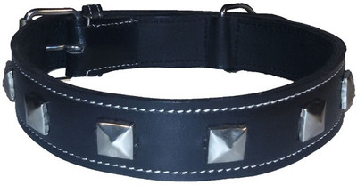 Pets Planet Dog Everyday Collar(, BLACK