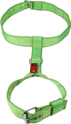 

TommyChew Regular Dog Everyday Collar(, Green