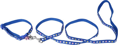 

TommyChew Showoff Dog Show Collar(, Blue