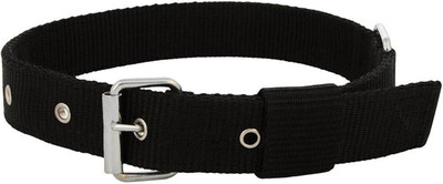 

Imago Dog Everyday Collar(, Black