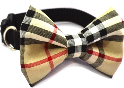 

That Dog in Tuxedo The Furr-Berry Bow Tie Dog Show Collar(, Beige