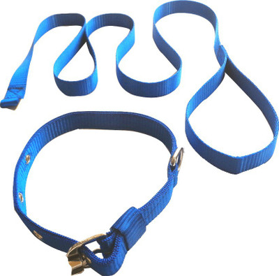 

Suraj Chains Dog Collar & Leash(, Blue