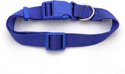 

Ecocart Dog Everyday Collar(, Blue