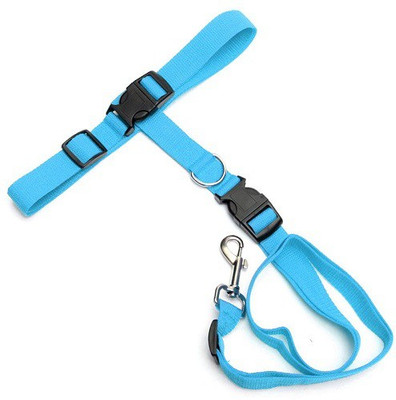 

Futaba Dog Collar & Chain(, Blue