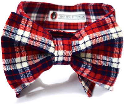 

That Dog in Tuxedo Red Tartan Bowtie XL Dog Everyday Collar(, Red