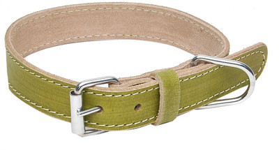 

Hawai Attractive Strong Dog Everyday Collar(, Green