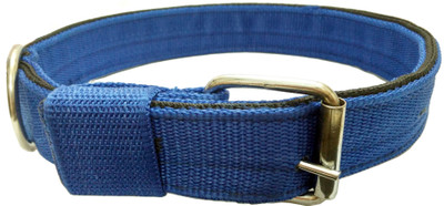 

Sollar's Extra Thick Dog Everyday Collar(, Blue