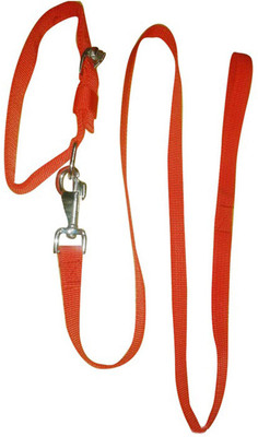 

Smarty Pet Control Collar Dog Everyday Collar(, Red