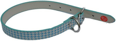 

Ginipet Dog Everyday Collar(Small, BLUE)