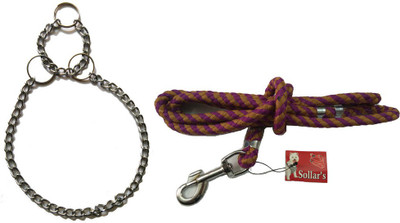 

Sollar's Dog Collar & Leash(, Steel