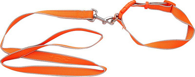 

Ecocart Dog & Cat Collar & Leash(, electric Orange
