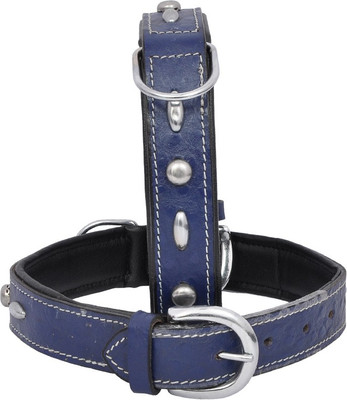 

Wonder Wish Dog Everyday Collar(, Blue