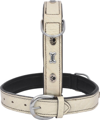 

Wonder Wish Dog Everyday Collar(, Silver