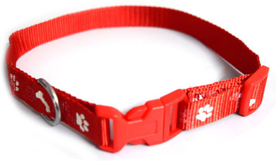 

Paw Zone Dog & Cat Break Away Collar(, Red
