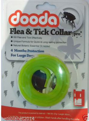 

Pets Planet Dog Everyday Collar(, Green