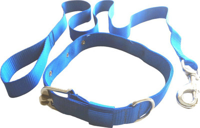 

Suraj Chains Dog Collar & Leash(, Blue