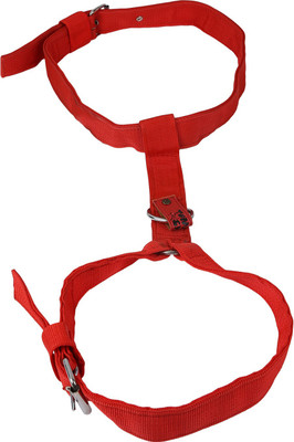 

TommyChew Regular Dog Safety Harness(, Red
