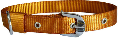 

Paw Zone Dog Anti-stress Collar(, Gold