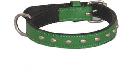 

Pethub Standard Collar -Green Dog Everyday Collar(, Green