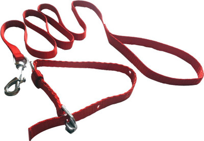 

Suraj Chains Dog Collar & Leash(, Red
