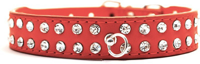 That Dog in Tuxedo The Prom Night Dog Everyday Collar(, Red