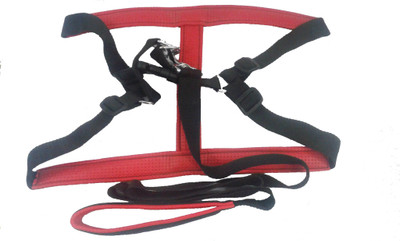 

Discount God Dog Standard Harness(, Black