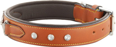 

Hill $ Oliver Dog Everyday Collar(, TAN BROWN