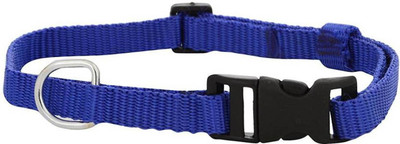 

Imago Dog Everyday Collar(, Blue