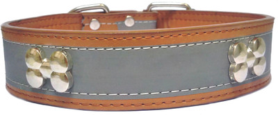

Sollar's Brown Bone Stud & Reflective Leather Dog Everyday Collar(, Brown