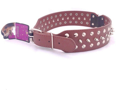

Scoobee Dog Everyday Collar(, Brown