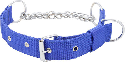 

Excite Bites Dog Choke Chain Collar(Large, Blue, Dog Choke Collar 1.25" (Size - Large) (Color - Blue))